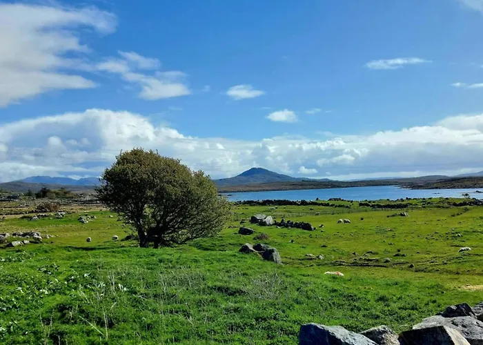 Inishnee Haven * غالواي